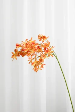 Discount Specktrum Artificial Flowers - Amber Stem orchid