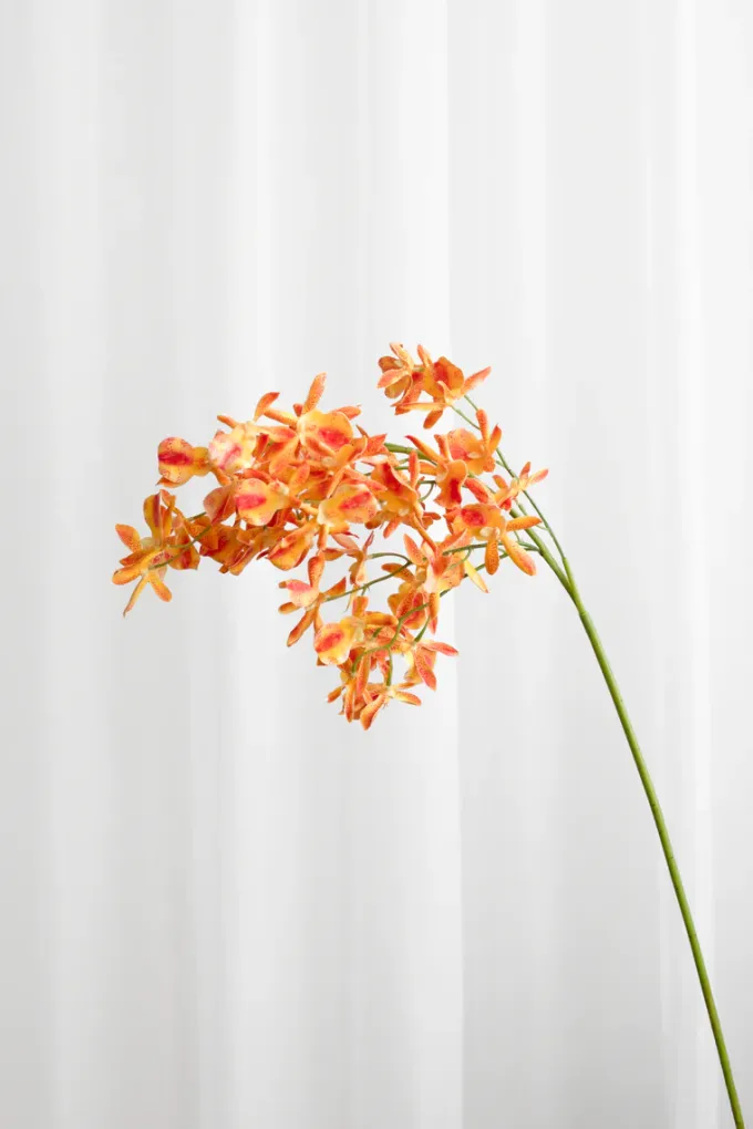 Discount Specktrum Artificial Flowers - Amber Stem orchid