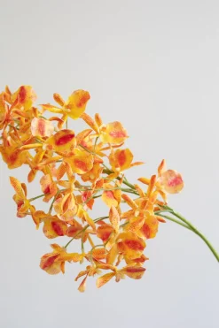 Discount Specktrum Artificial Flowers - Amber Stem orchid