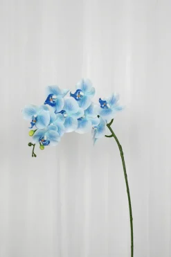 New Specktrum Artificial Flowers - Blue Orchid (9 heads)