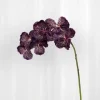 Best Specktrum Artificial Flowers - Burgundy Orchid (7 heads)