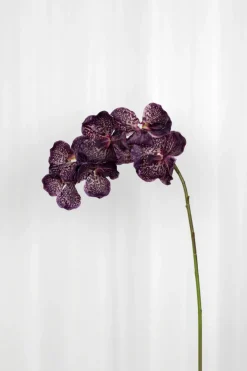 Best Specktrum Artificial Flowers - Burgundy Orchid (7 heads)