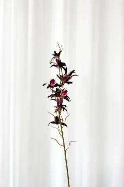 Discount Specktrum Artificial Flowers - Burgundy Dendrobium