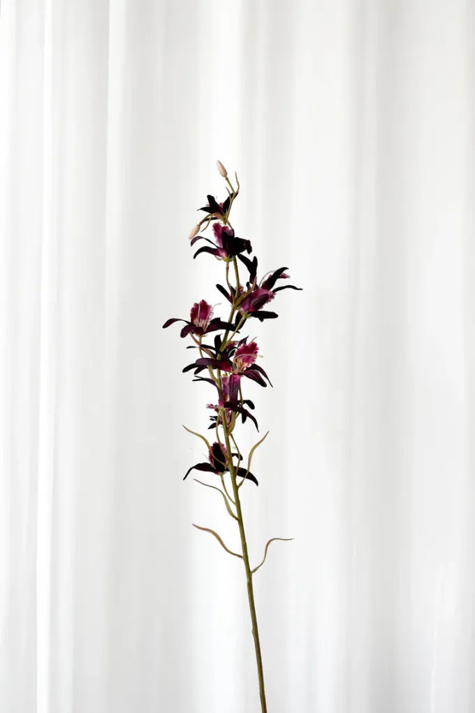 Discount Specktrum Artificial Flowers - Burgundy Dendrobium