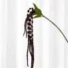 Best Specktrum Artificial Flowers - Burgundy Amaranthus Branch