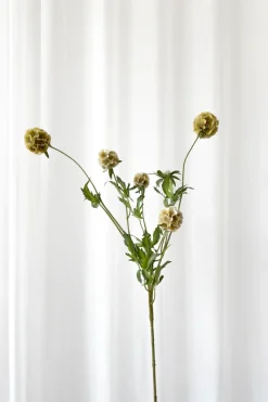 New Specktrum Artificial Flowers - Dusty yellow Scabiosa Seed Pod (multible heads)