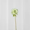 Hot Specktrum Artificial Flowers - Green Scabiosa Seed Pod flower