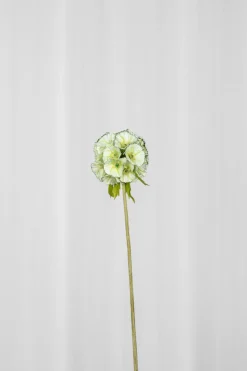Hot Specktrum Artificial Flowers - Green Scabiosa Seed Pod flower