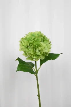 Online Specktrum Artificial Flowers - Green Hydrangea