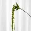 Clearance Specktrum Artificial Flowers - Green Amaranthus Branch