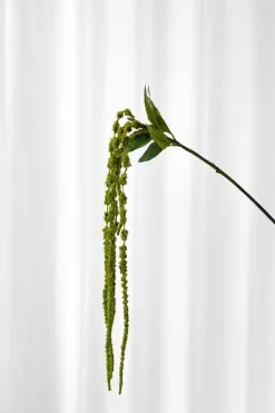 Clearance Specktrum Artificial Flowers - Green Amaranthus Branch