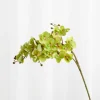 Specktrum Artificial Flowers - Green Orchid (21 heads)