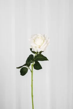 Discount Specktrum Artificial Flowers - Ivory Rose