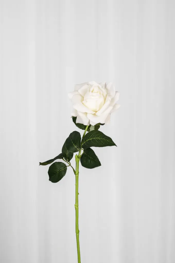 Discount Specktrum Artificial Flowers - Ivory Rose