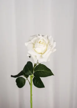 Discount Specktrum Artificial Flowers - Ivory Rose