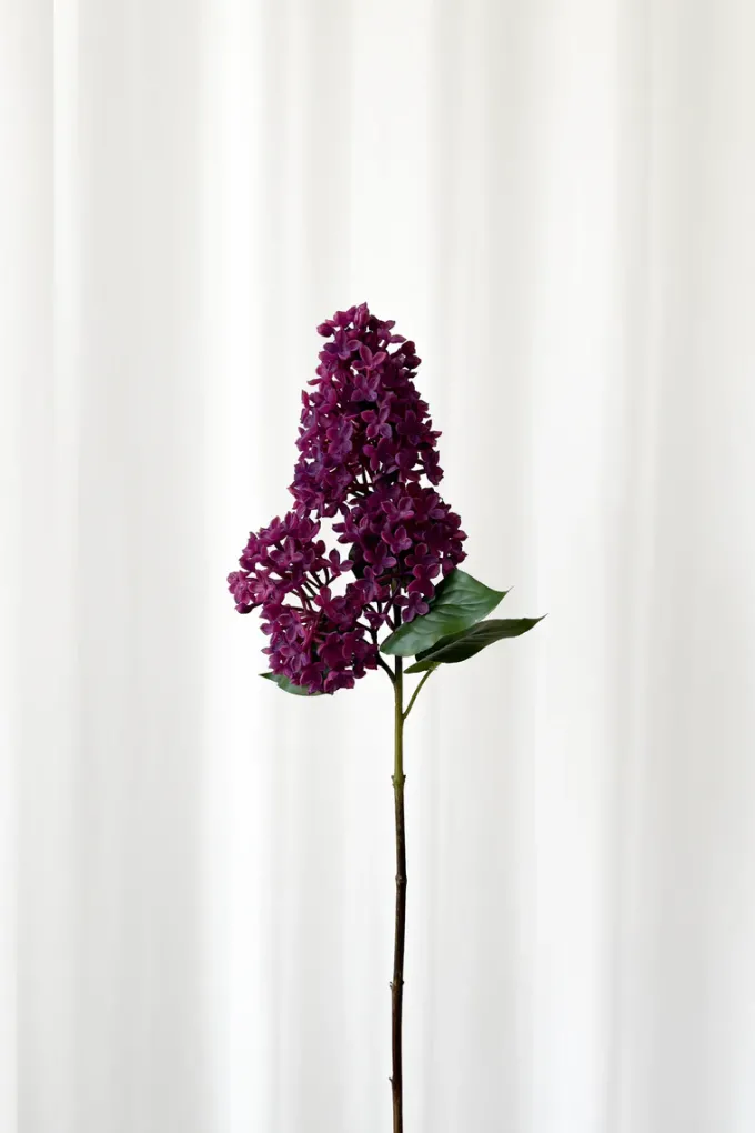Discount Specktrum Artificial Flowers - Lilac Lilac branch