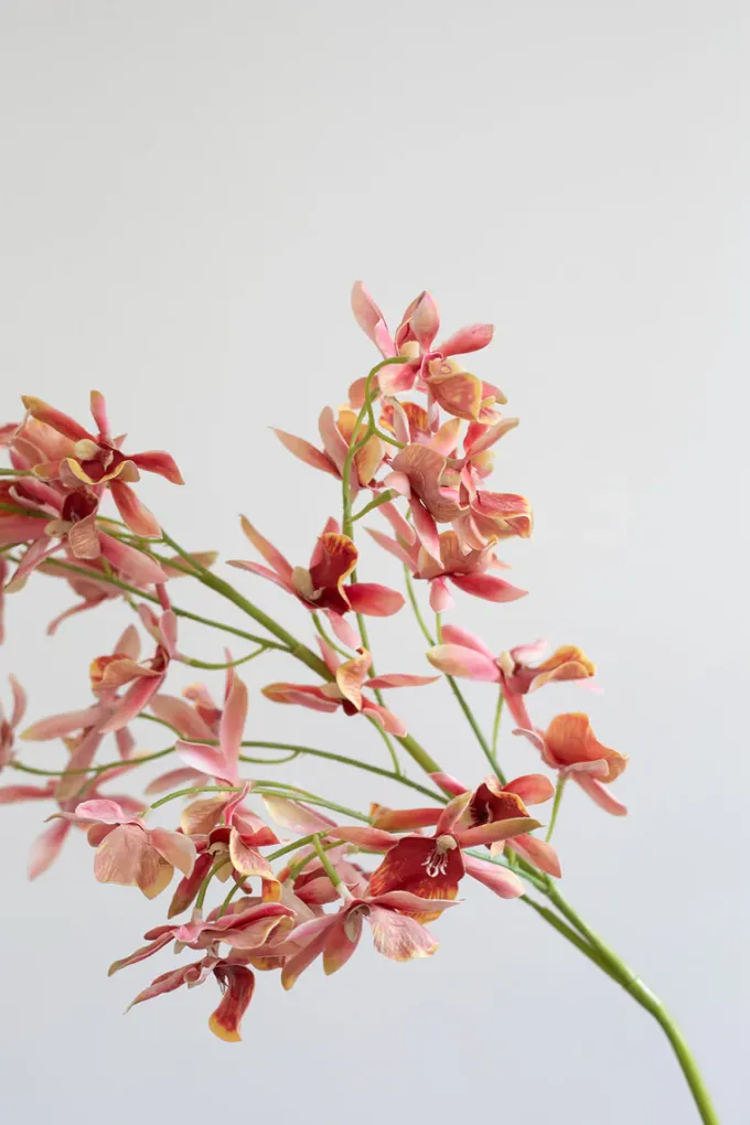 Clearance Specktrum Artificial Flowers - Rose Stem orchid