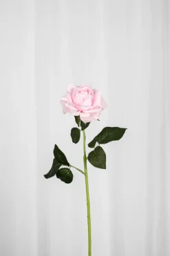 Discount Specktrum Artificial Flowers - Rose Rose