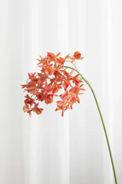 Online Specktrum Artificial Flowers - Sunset Stem orchid