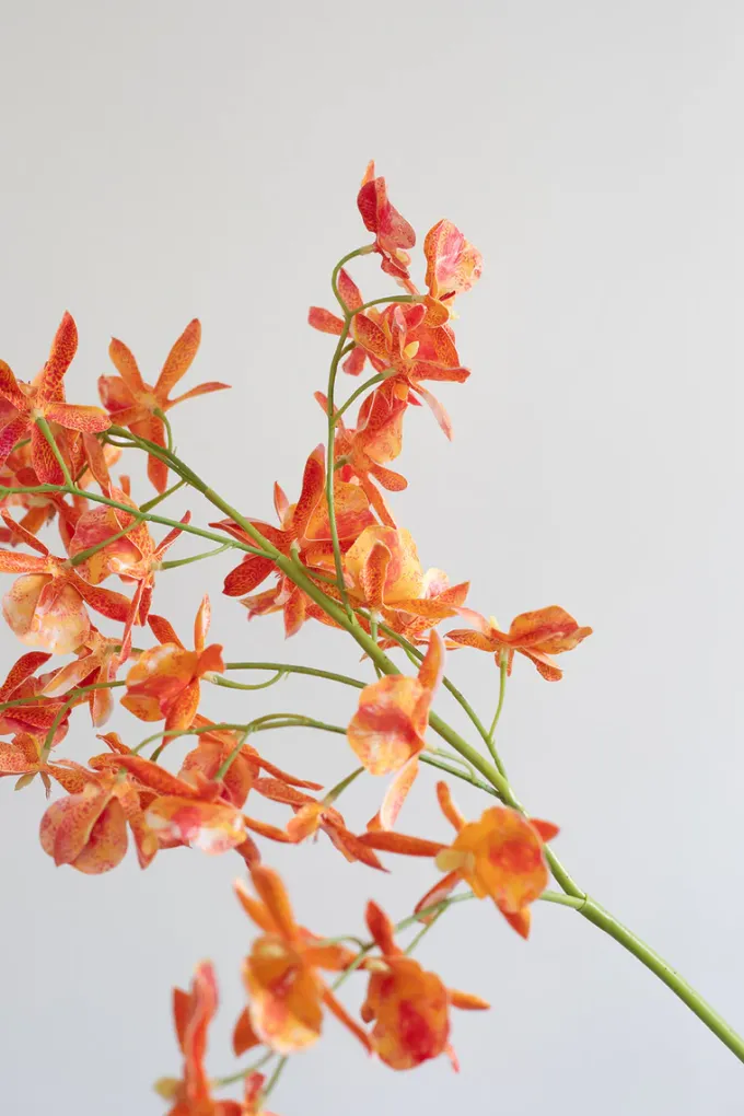 Online Specktrum Artificial Flowers - Sunset Stem orchid