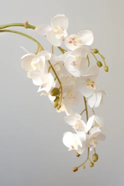 Online Specktrum Artificial Flowers - White Orchid (21 heads)