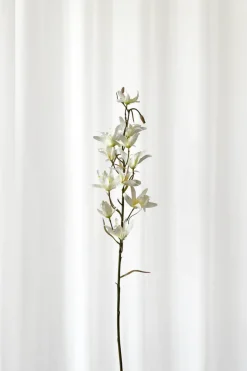 New Specktrum Artificial Flowers - White Dendrobium