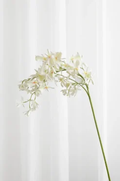 Hot Specktrum Artificial Flowers - White Stem orchid