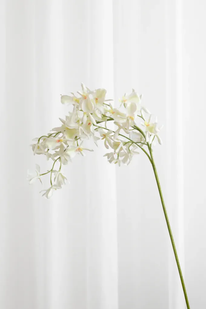 Hot Specktrum Artificial Flowers - White Stem orchid