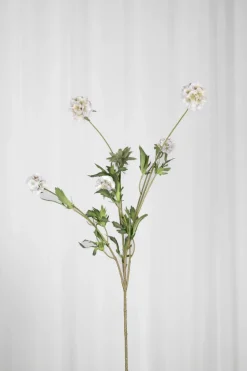 Outlet Specktrum Artificial Flowers - White Scabiosa Seed Pod (multible heads)