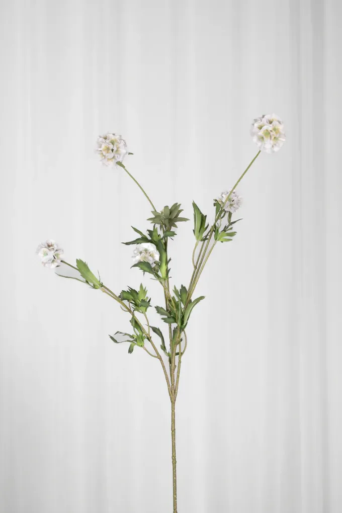 Outlet Specktrum Artificial Flowers - White Scabiosa Seed Pod (multible heads)