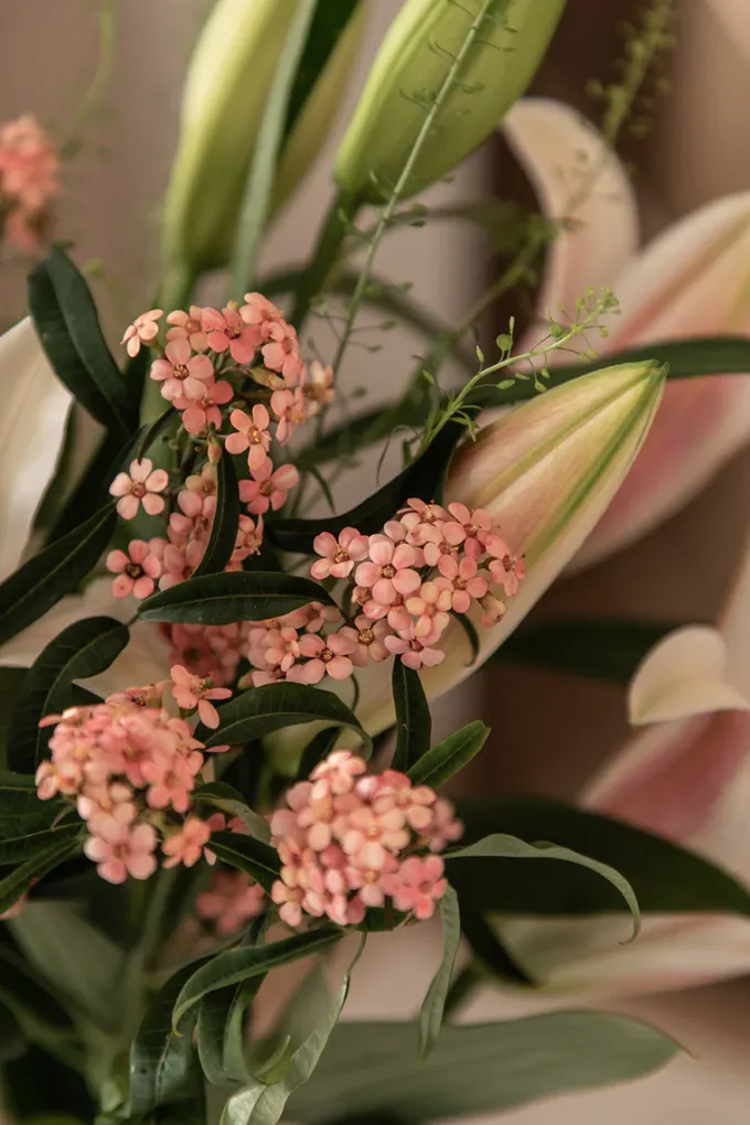 Specktrum Evelyn Vase - Clear Small