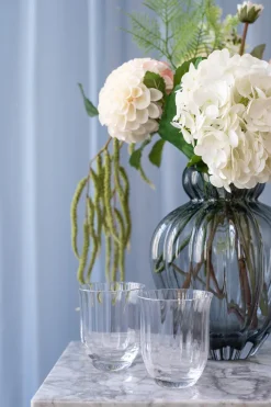 Best Specktrum Lina Drinking Glass - Clear