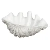 Clearance Specktrum Naya Bowl - Large